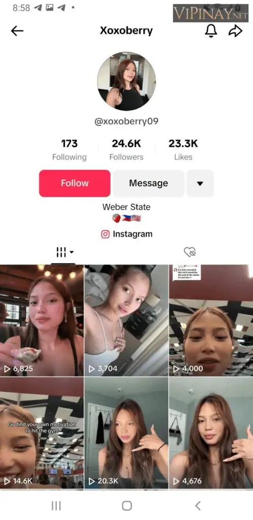sheeny v35 vipinay
